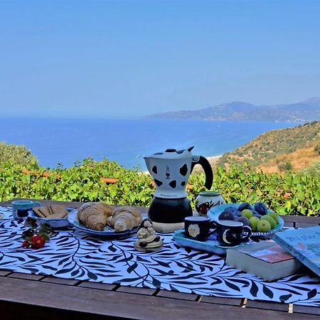 Terrazza Degli Angeli Villa Ascea Eksteriør billede