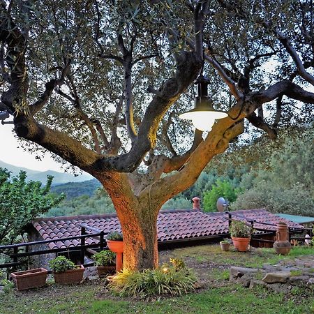 Terrazza Degli Angeli Villa Ascea Eksteriør billede