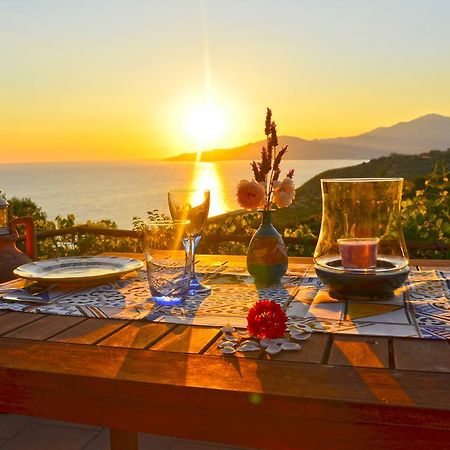 Terrazza Degli Angeli Villa Ascea Eksteriør billede