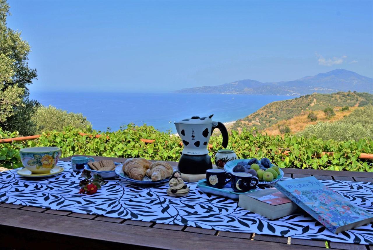 Terrazza Degli Angeli Villa Ascea Eksteriør billede