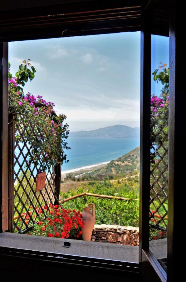 Terrazza Degli Angeli Villa Ascea Eksteriør billede