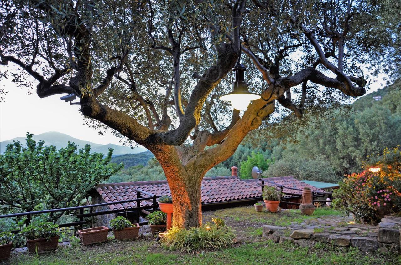 Terrazza Degli Angeli Villa Ascea Eksteriør billede