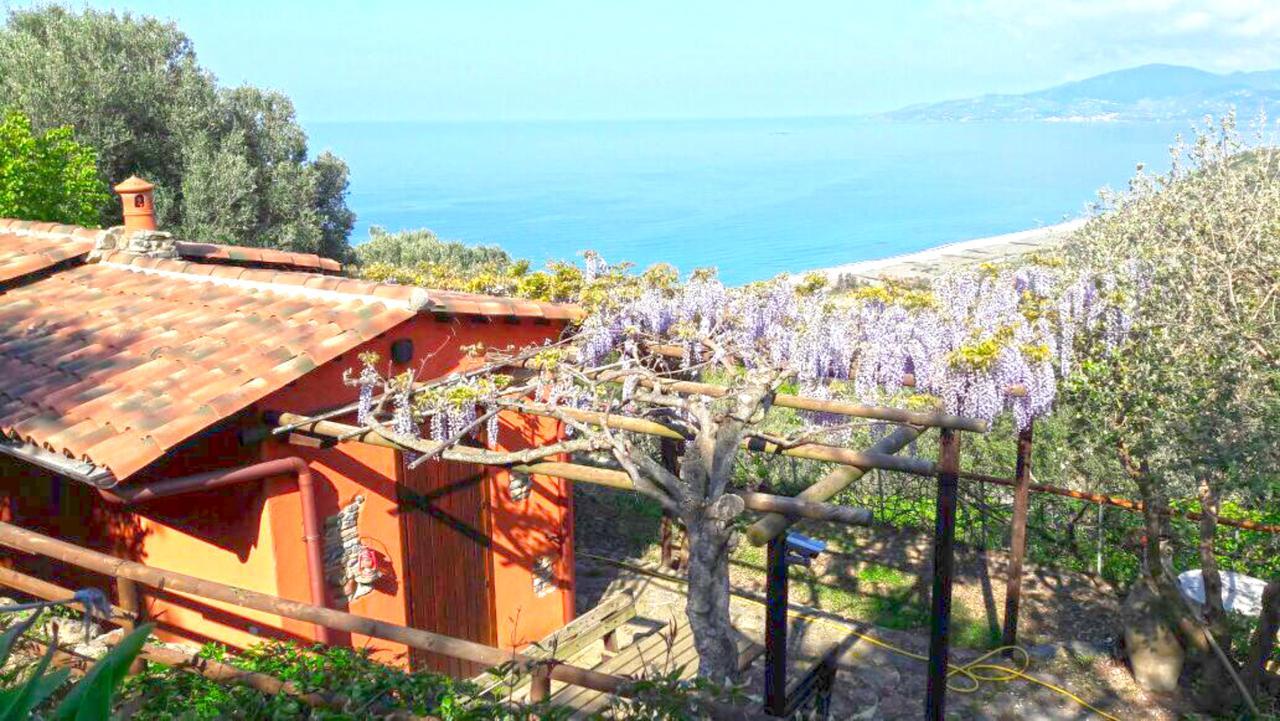 Terrazza Degli Angeli Villa Ascea Eksteriør billede