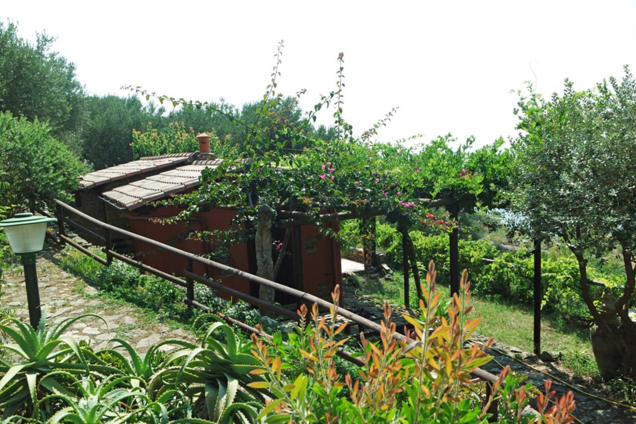 Terrazza Degli Angeli Villa Ascea Eksteriør billede
